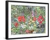 Hedgehog Amongst the Flowers-Hilary Jones-Framed Giclee Print