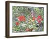 Hedgehog Amongst the Flowers-Hilary Jones-Framed Giclee Print