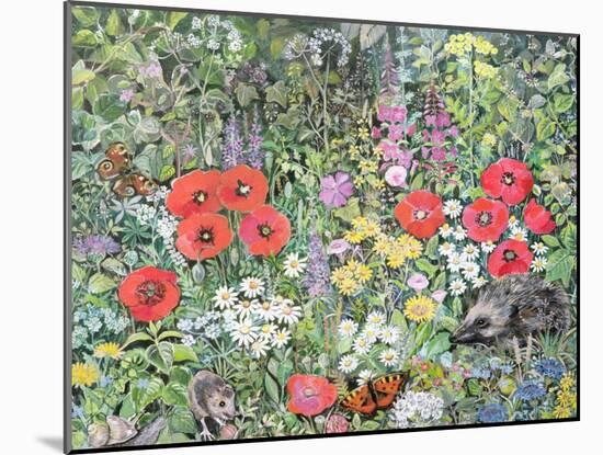 Hedgehog Amongst the Flowers-Hilary Jones-Mounted Giclee Print