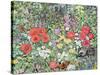 Hedgehog Amongst the Flowers-Hilary Jones-Stretched Canvas