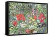 Hedgehog Amongst the Flowers-Hilary Jones-Framed Stretched Canvas