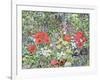 Hedgehog Amongst the Flowers-Hilary Jones-Framed Giclee Print