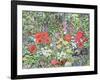 Hedgehog Amongst the Flowers-Hilary Jones-Framed Giclee Print