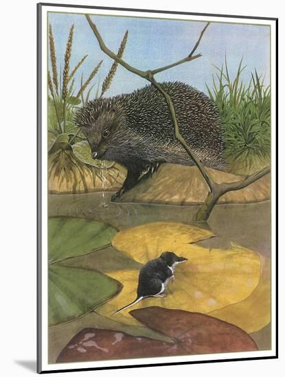 Hedgehog and Vole-English School-Mounted Giclee Print