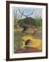 Hedgehog and Vole-English School-Framed Giclee Print