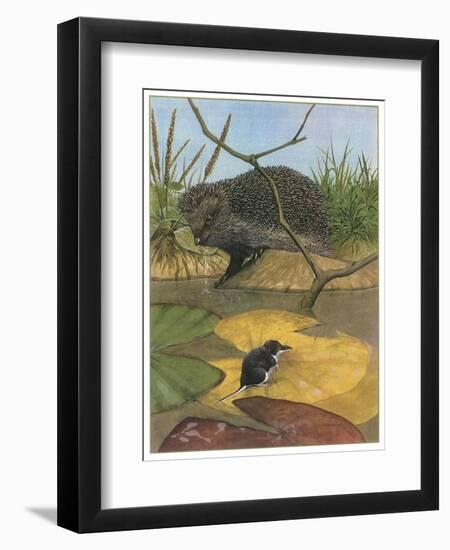 Hedgehog and Vole-English School-Framed Premium Giclee Print