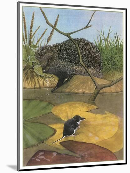 Hedgehog and Vole-English School-Mounted Premium Giclee Print