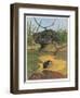 Hedgehog and Vole-English School-Framed Giclee Print