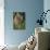 Hedgehog (Erinaceinae), Devon, England, United Kingdom-Janette Hill-Photographic Print displayed on a wall