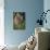 Hedgehog (Erinaceinae), Devon, England, United Kingdom-Janette Hill-Mounted Photographic Print displayed on a wall