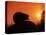 Hedgehog (Erinaceus Europaeus) Silhouette at Sunset, Poland, Europe-Artur Tabor-Stretched Canvas