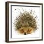 Hedgehog Illustration with Splash Watercolor Textured Background-Dabrynina Alena-Framed Art Print