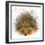 Hedgehog Illustration with Splash Watercolor Textured Background-Dabrynina Alena-Framed Art Print