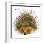 Hedgehog Illustration with Splash Watercolor Textured Background-Dabrynina Alena-Framed Art Print