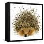 Hedgehog Illustration with Splash Watercolor Textured Background-Dabrynina Alena-Framed Stretched Canvas