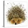 Hedgehog Illustration with Splash Watercolor Textured Background-Dabrynina Alena-Stretched Canvas