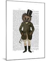 Hedgehog Rider Full-Fab Funky-Mounted Art Print