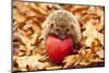 Hedgehog Sitting on Leaves-shiffti-Mounted Photographic Print