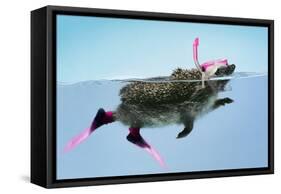 Hedgehog Swimming in Mask Snorkel and Flippers-null-Framed Stretched Canvas