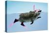 Hedgehog Swimming in Mask Snorkel and Flippers-null-Stretched Canvas