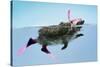 Hedgehog Swimming in Mask Snorkel and Flippers-null-Stretched Canvas