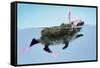 Hedgehog Swimming in Mask Snorkel and Flippers-null-Framed Stretched Canvas