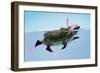 Hedgehog Swimming in Mask Snorkel and Flippers-null-Framed Photographic Print