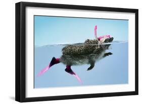 Hedgehog Swimming in Mask Snorkel and Flippers-null-Framed Photographic Print