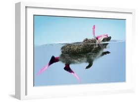 Hedgehog Swimming in Mask Snorkel and Flippers-null-Framed Photographic Print