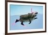 Hedgehog Swimming in Mask Snorkel and Flippers-null-Framed Photographic Print