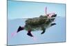 Hedgehog Swimming in Mask Snorkel and Flippers-null-Mounted Photographic Print