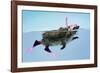 Hedgehog Swimming in Mask Snorkel and Flippers-null-Framed Photographic Print