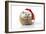 Hedgehog Wearing Christmas Hat-null-Framed Photographic Print