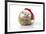 Hedgehog Wearing Christmas Hat-null-Framed Photographic Print