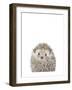 Hedgehog-Leah Straatsma-Framed Art Print