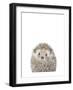 Hedgehog-Leah Straatsma-Framed Art Print