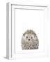 Hedgehog-Leah Straatsma-Framed Art Print