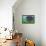 Hedgehog-Brenda Brin Booker-Framed Stretched Canvas displayed on a wall