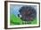 Hedgehog-Brenda Brin Booker-Framed Giclee Print