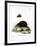 Hedgehog-null-Framed Giclee Print