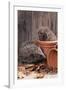 Hedgehogs in and Near Flowerpots-null-Framed Photographic Print