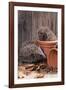 Hedgehogs in and Near Flowerpots-null-Framed Photographic Print