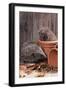 Hedgehogs in and Near Flowerpots-null-Framed Photographic Print