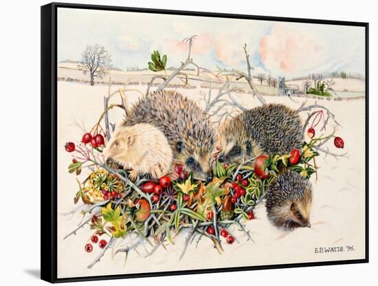 Hedgehogs in Hedgerow Basket, 1996-E.B. Watts-Framed Stretched Canvas