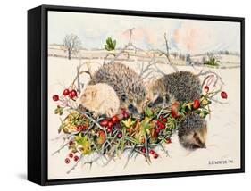 Hedgehogs in Hedgerow Basket, 1996-E.B. Watts-Framed Stretched Canvas