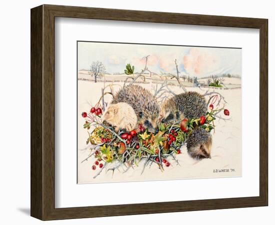 Hedgehogs in Hedgerow Basket, 1996-E.B. Watts-Framed Giclee Print