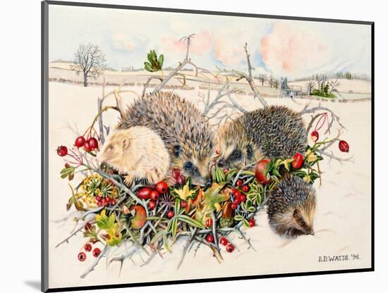 Hedgehogs in Hedgerow Basket, 1996-E.B. Watts-Mounted Giclee Print