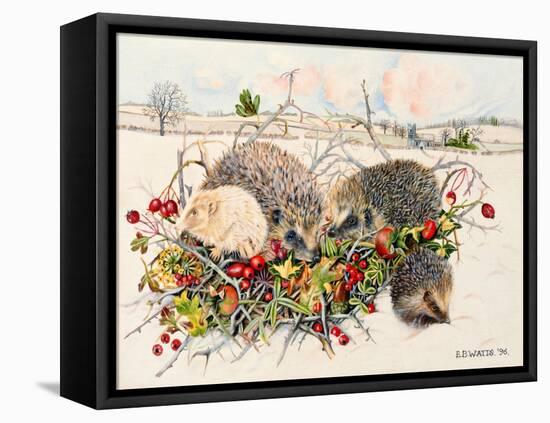 Hedgehogs in Hedgerow Basket, 1996-E.B. Watts-Framed Stretched Canvas