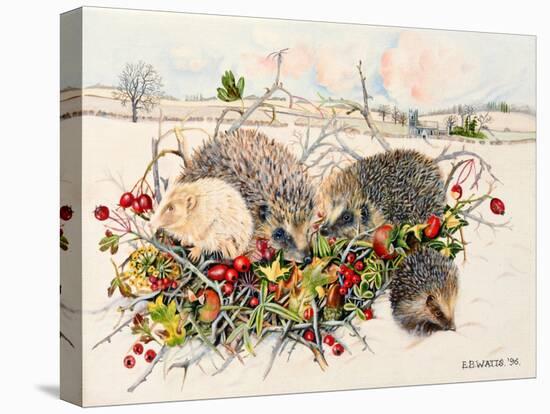 Hedgehogs in Hedgerow Basket, 1996-E.B. Watts-Stretched Canvas