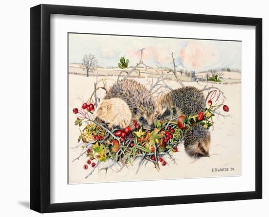 Hedgehogs in Hedgerow Basket, 1996-E.B. Watts-Framed Giclee Print